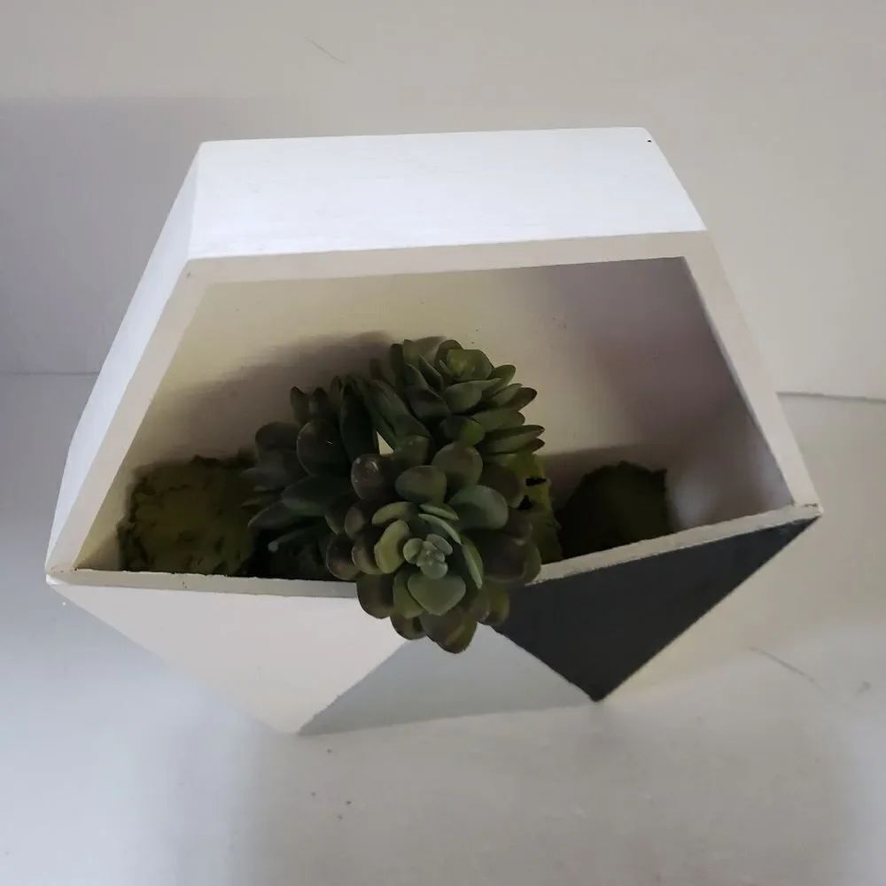 Handpainted Decorative Box w/Succulent - Picture 7 of 7